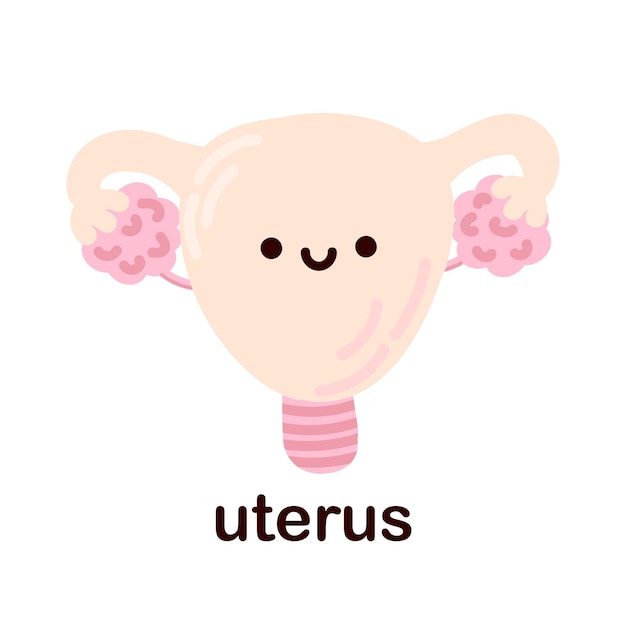 Kawaii uterus. Cute human internal organs. Cheerful children's drawings in a flat style. Anatomy.