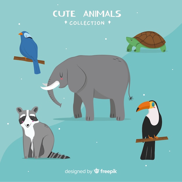 Pack di animali selvatici kawaii