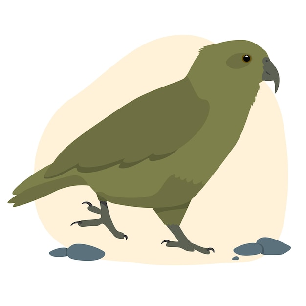 Vector kea alpine parrot inheemse vogel aotearoa nieuw-zeeland platte grafische vectorillustratie