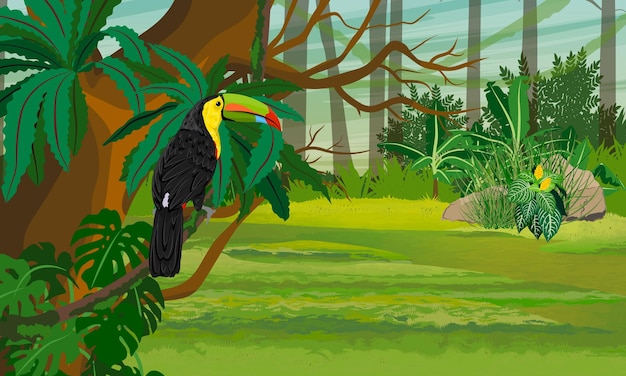 Vector keelbilled toucan sits on a branch of a tropical tree realistic vector landscape