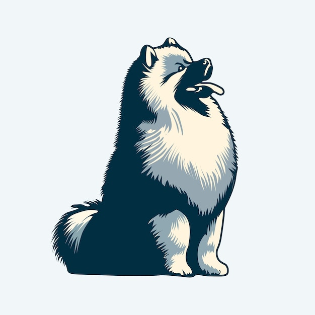 Keeshond sitting and looking up illustration Vector