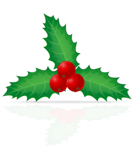 Vector kerst holly berry