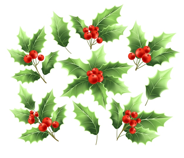 Kerst hulst takken realistische illustraties set. holly tree twijgen met groene bladeren en rode bessen collectie. xmas decoratieve, sierplant. wenskaart ontwerpelementen. geïsoleerde vector