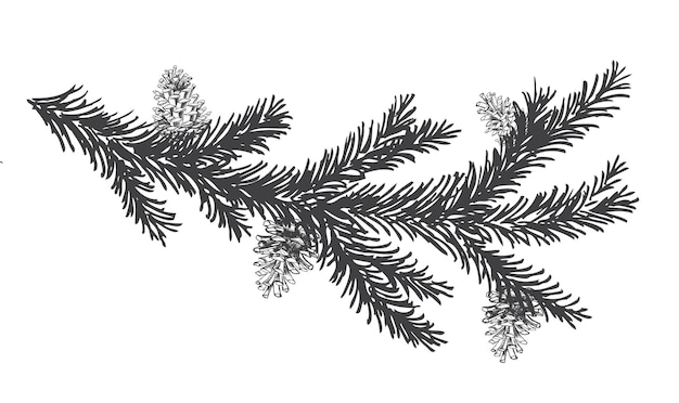 Vector kerstboom en pijnbomen met kegels hand getekende illustratie