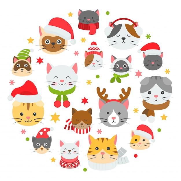 Kerstmispatroon en achtergrond van de kat