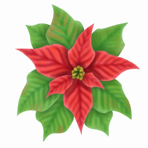 Kerstster vectorillustratie