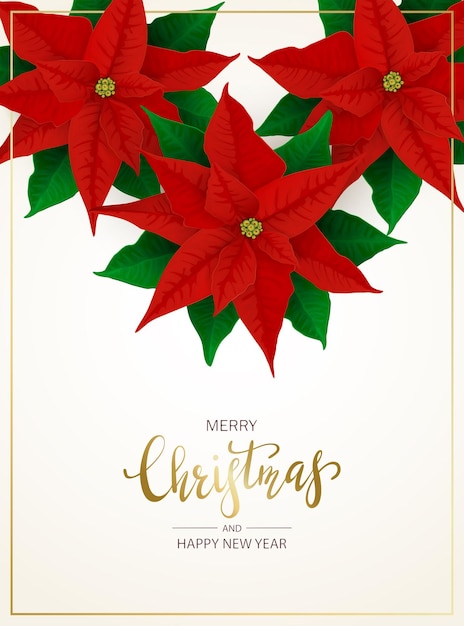 Kerstversiering met bloemen van rode poinsettia op witte achtergrond. Illustratie met gouden letters Merry Christmas kan worden gebruikt voor vakantieontwerp, kaarten, uitnodigingen, ansichtkaarten en banners.