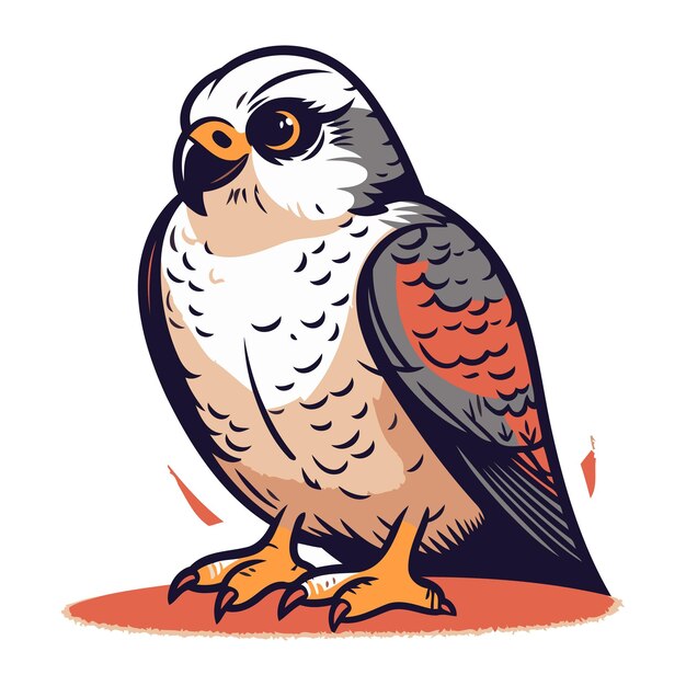 Vector kestrel bird vector illustration of a kestrel