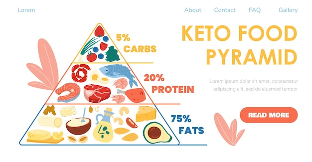 Piramide alimentare di dieta cheto nell'illustrazione piana di vettore di progettazione dell'insegna del sito web