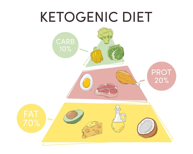 Vector ketogenic diet pyramid