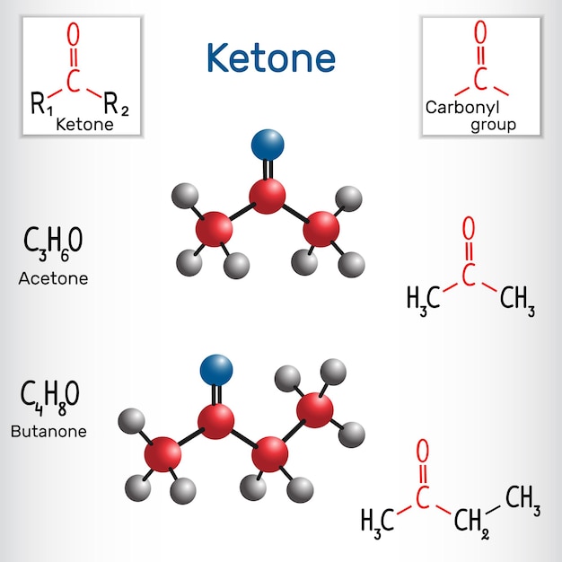 Vector ketone alkanone acetone and butanone methyl ethyl ketone molecule vector illustration