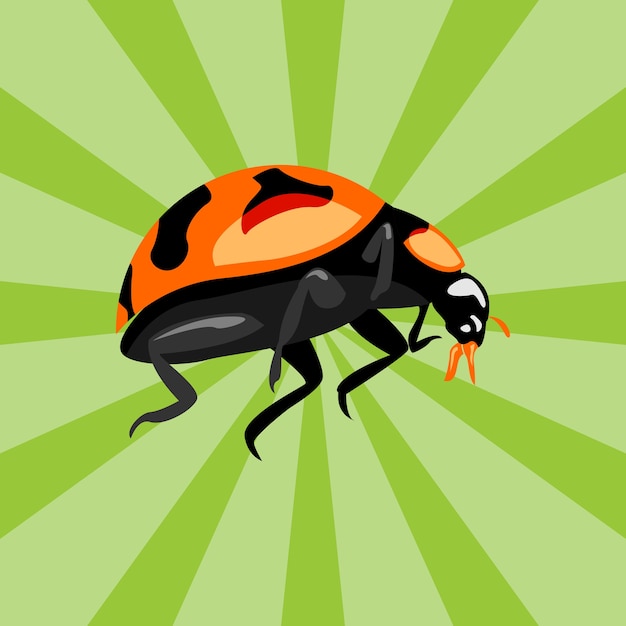 Vector kever insect