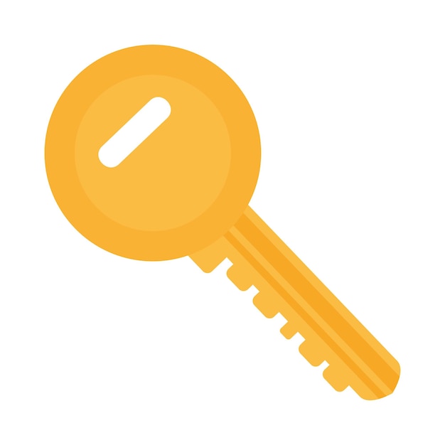 Vector key icon image