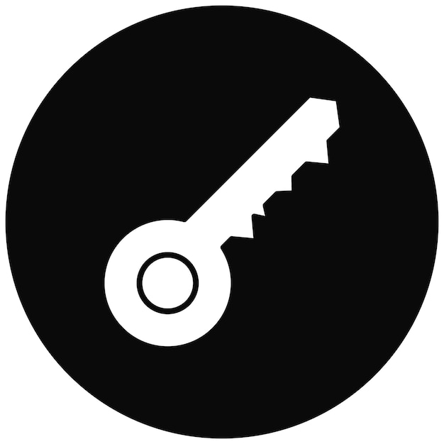 Key icon vector afbeelding Kan worden gebruikt voor Business Startup