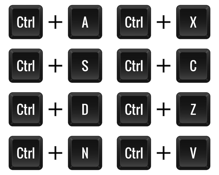Vector keyboard combinations ctrl with a s d n x c z v hotkeys control macro shortcut command input enter type layout computer laptop key select all save new cut off copy undo paste