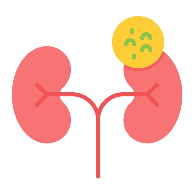 kidney checkup vector illustration style