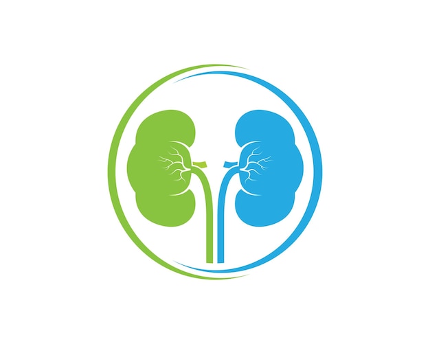 Kidney icon vector illustration design