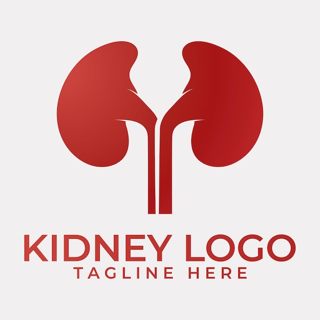 Kidney icon vector illustration
