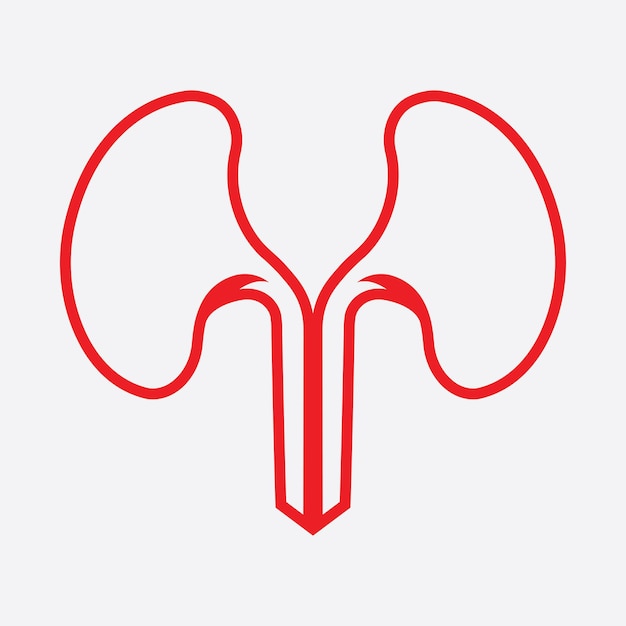 Vector kidney icon vector illustration