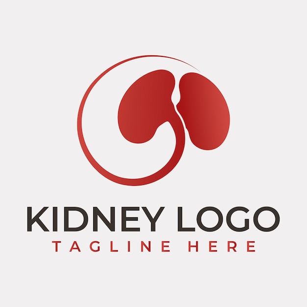 Vector kidney icon vector illustration