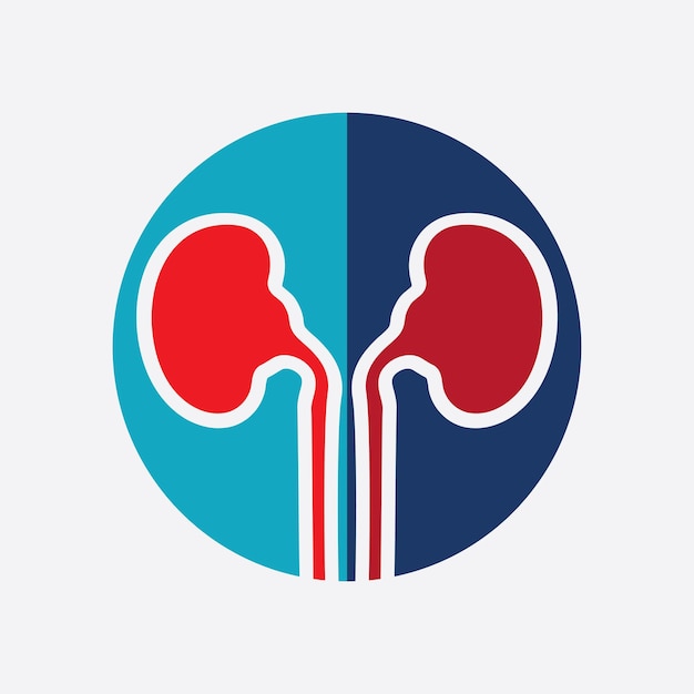 Kidney icon vector illustration