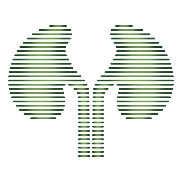 Kidney icon vector