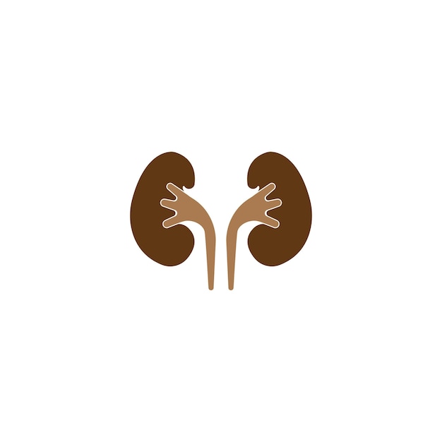 Kidney icon