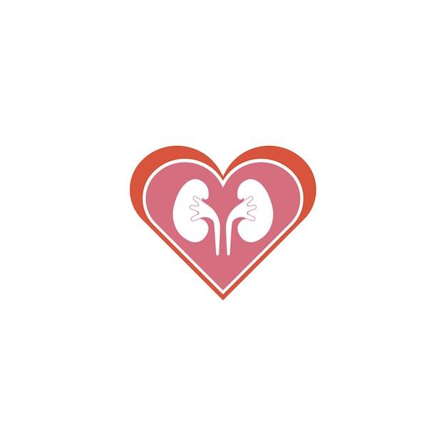 Kidney icon