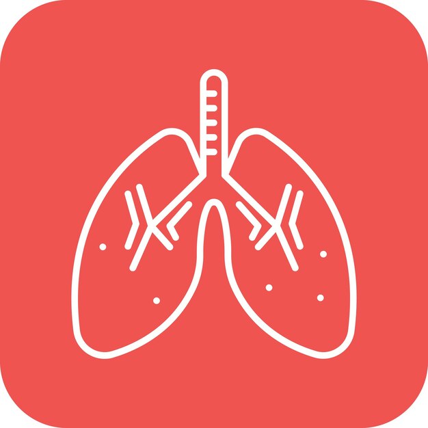 Kidney vector icon Can be used for Medical iconset