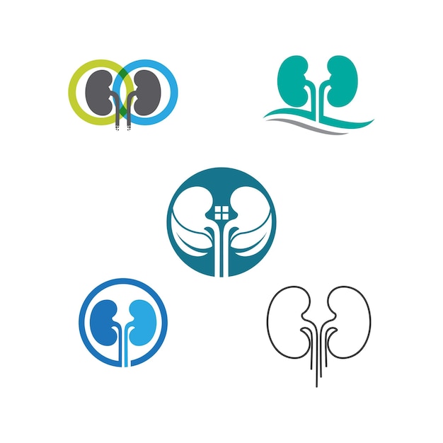 Vector kidney vector illusrtation