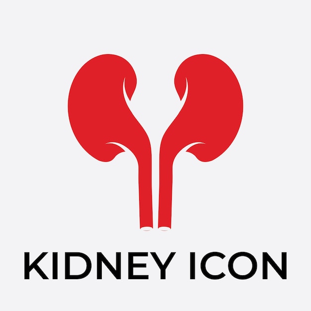 kidney vector illustration design logo template