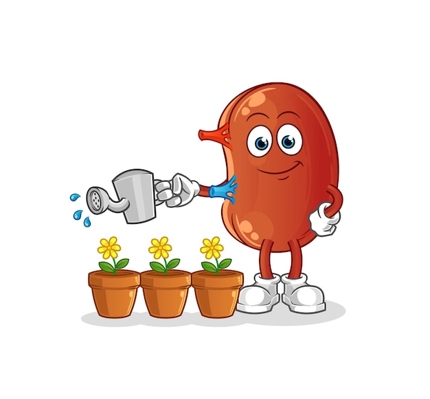 Kidney watering the flowers mascot cartoon vector