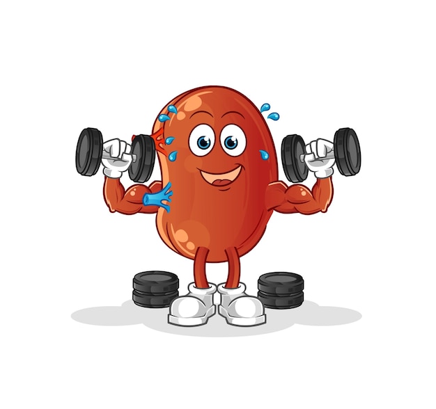 Kidney weight training illustration character vectorxA