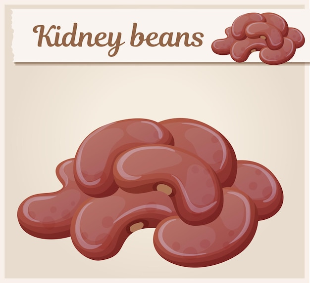 Kidneybonen pictogram cartoon vectorillustratie