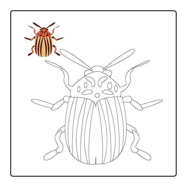 Kids Coloring Book Interiors Insects