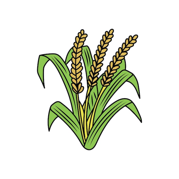 Kids drawing Cartoon Vector illustration cute wheat plant icon Isolated on White Background