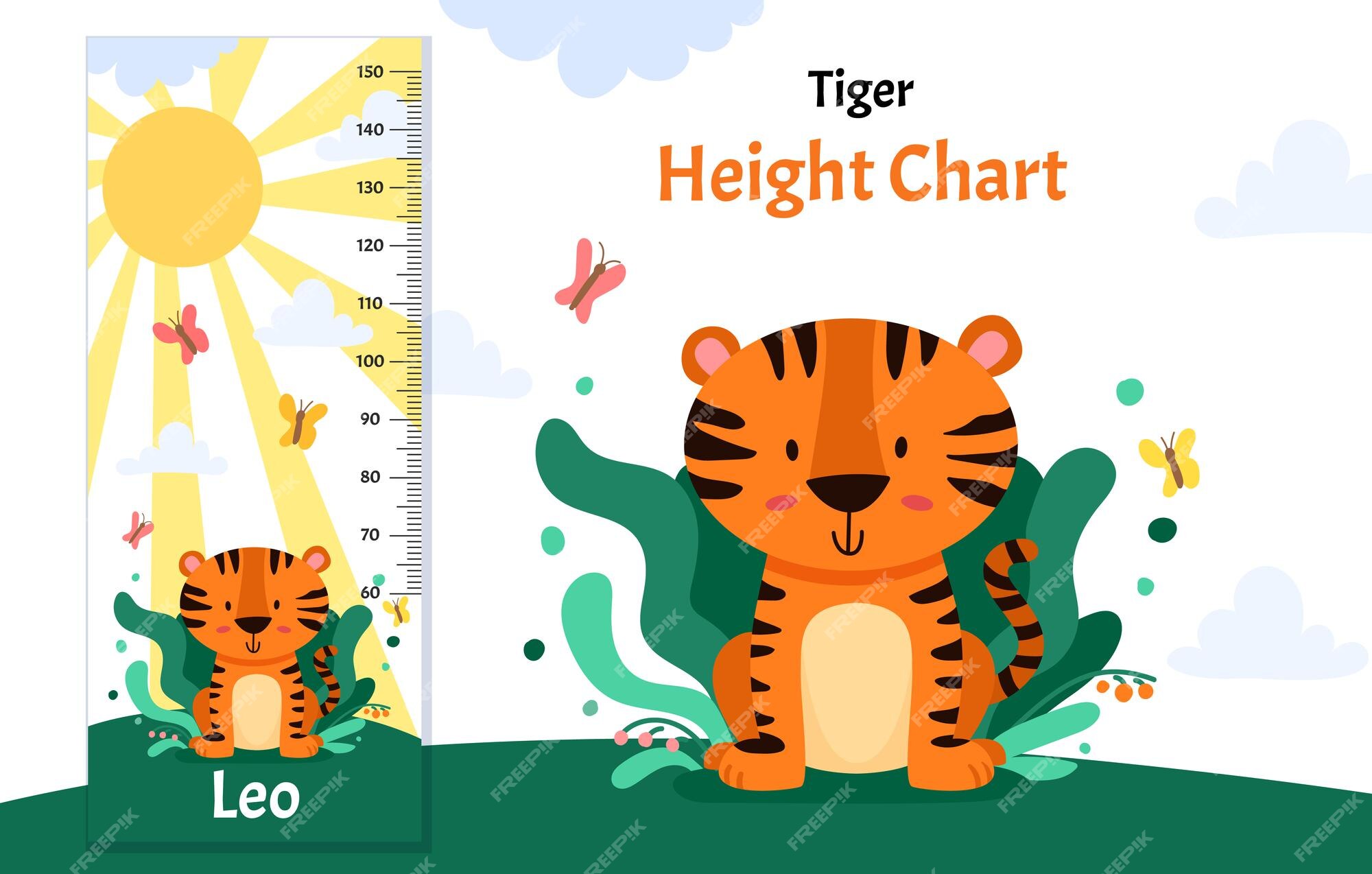 Premium Vector | Kids height chart with cute tiger character vector  isolated illustration with animal