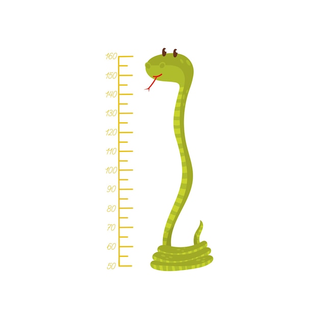 Vector kids height meter and long green snake decorative wall sticker for children room cartoon character of reptiles flat vector design