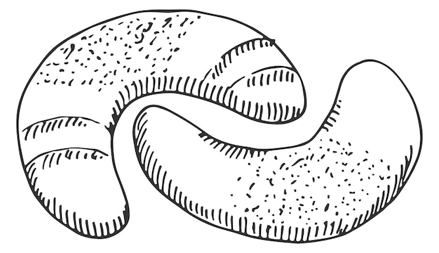 Kifli スケッチ手描きのパン屋さん白い背景で隔離の伝統的な食べ物