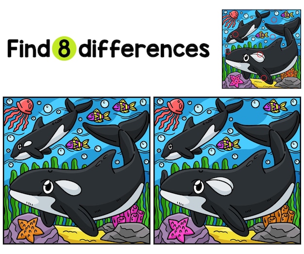 Killer Whale Animal Find The Differences