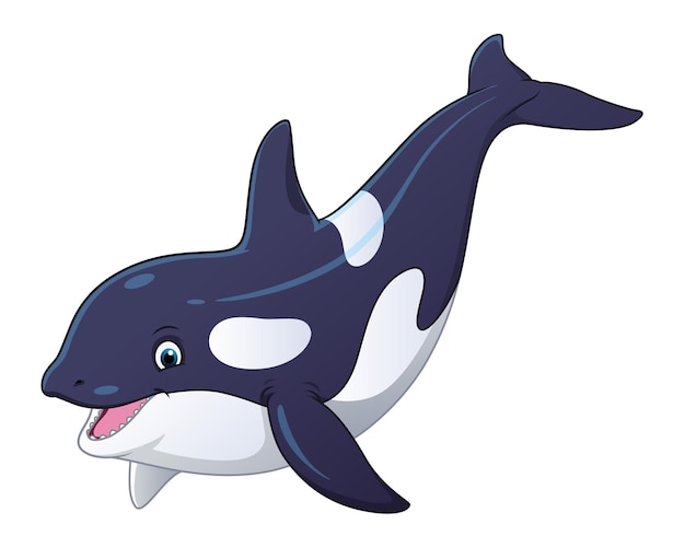 Killer Whale Cartoon Animal Illustration