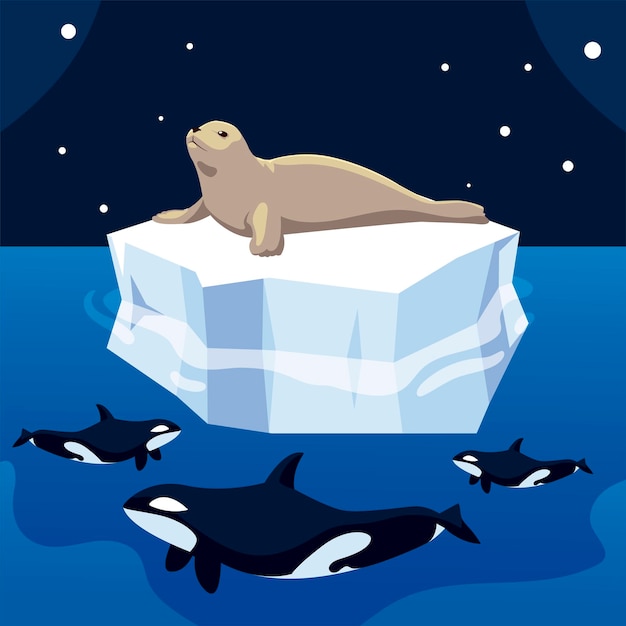 Sigillo di caccia della balena killer su iceberg, illustrazione del polo nord