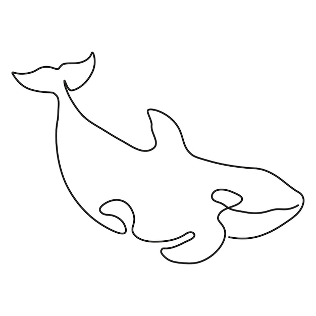벡터 범고래 또는 범고래 흰색 배경에 고립 된 한 라인 아트 디자인