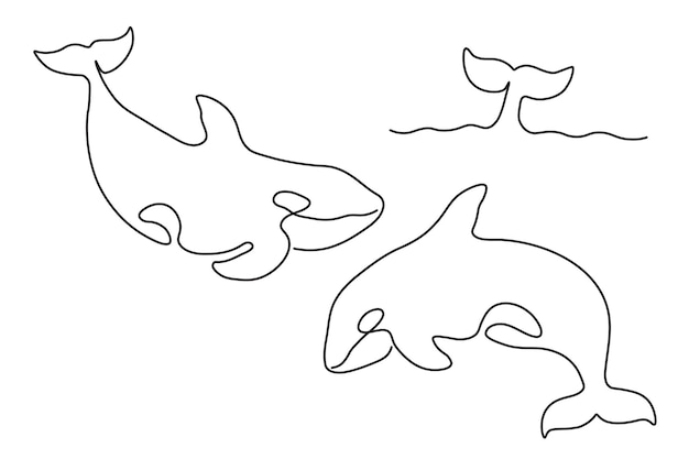 キラークジラまたは白い背景で隔離のシャチセット1線画デザイン