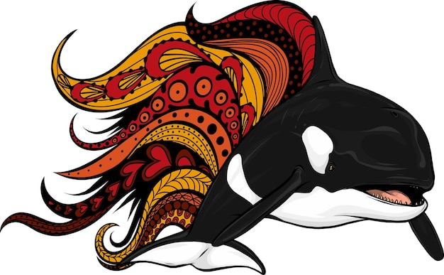 Vettore illustrazione vettoriale di balena assassina o orca