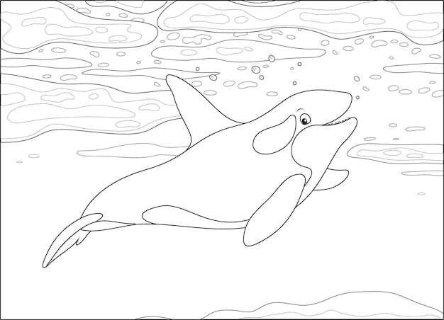 ベクトル 極海の流氷の間を泳ぐキラークジラ
