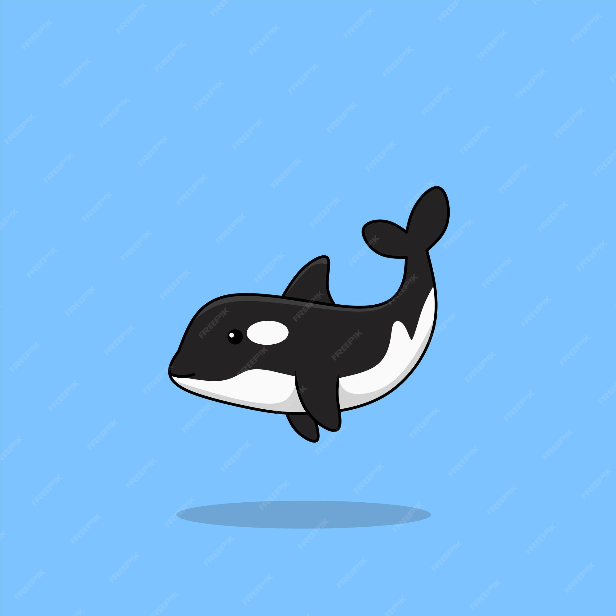 Premium Vector | Killer whale Premium Vector | Killer whale