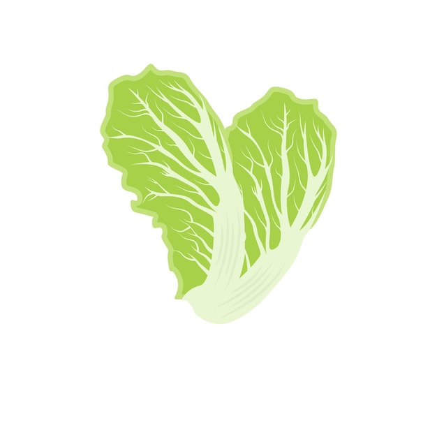 Vector kimchi logo design korean traditional food vector cabbage green vegetable logo illustration company brand icon