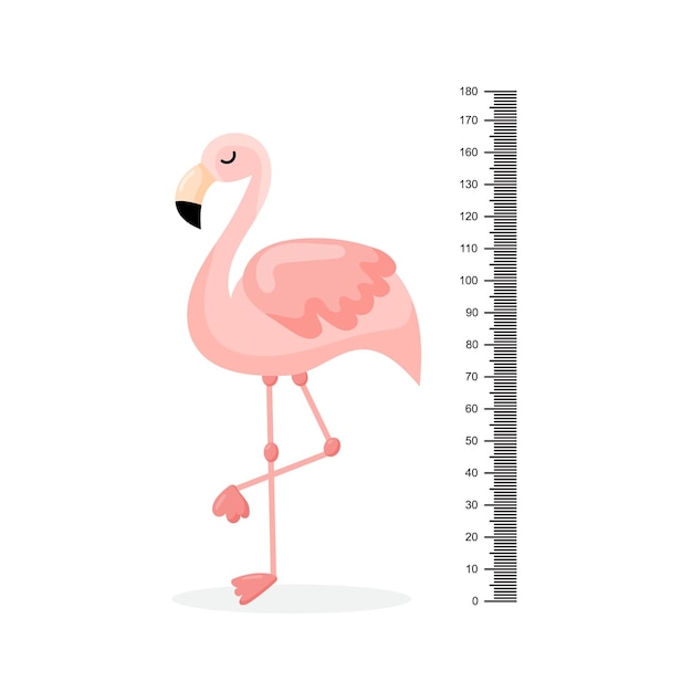 Kinderen hoogte grafiek en flamingo Exotische vogel met roze veren gele snavel en lange dunne benen