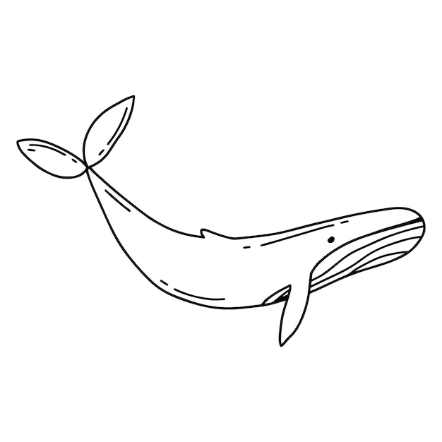 Kinderillustratie van schattige walvis Handgetekende walvis Leuke walvis Vectorillustratie Doodle-stijl